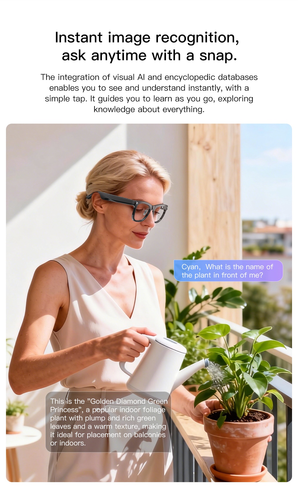 VALDUS 2026 New VIS02 Smart Glasses 800W HD Camera AI Translation Dual Microphone ENC Noise Reduction Smart Sunglasses-Shenzhen Shengye Technology Co.,Ltd