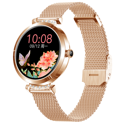 NY22 Lady Classic Mini Dial Business Smart Watch