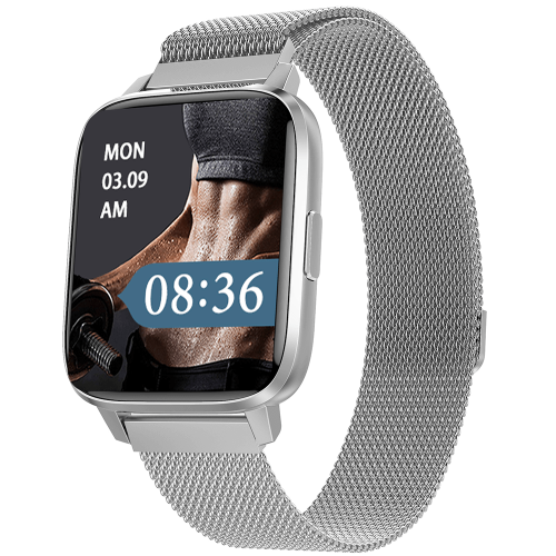 DTX MAX 1.9 Inch HD Display IP68 Waterproof NFC Payment Factory OEM Smart Watch