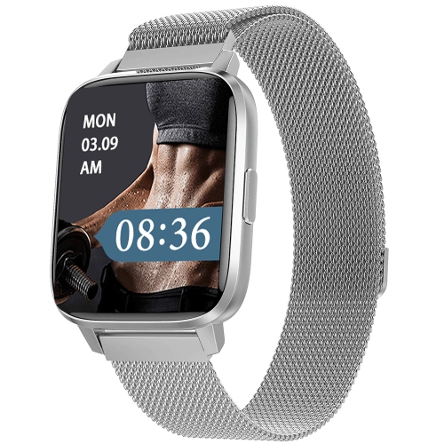 DTX MAX 1.9 Inch HD Display IP68 Waterproof NFC Payment Factory OEM Smart Watch