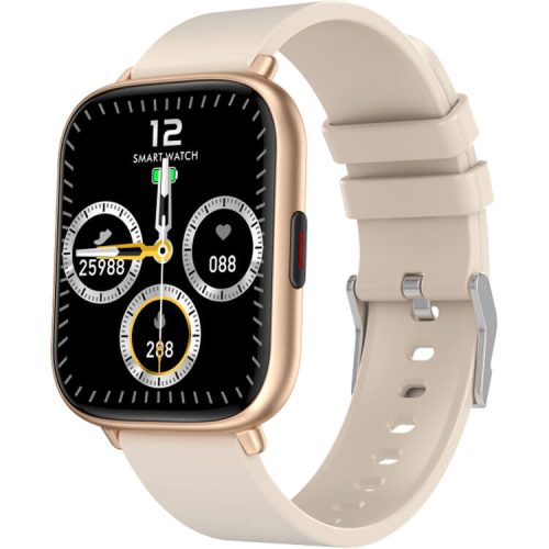 Q9 PRO GT2 Smartwatch 2.5D Curved Glass Body Temperature Detection IP68 Waterproof