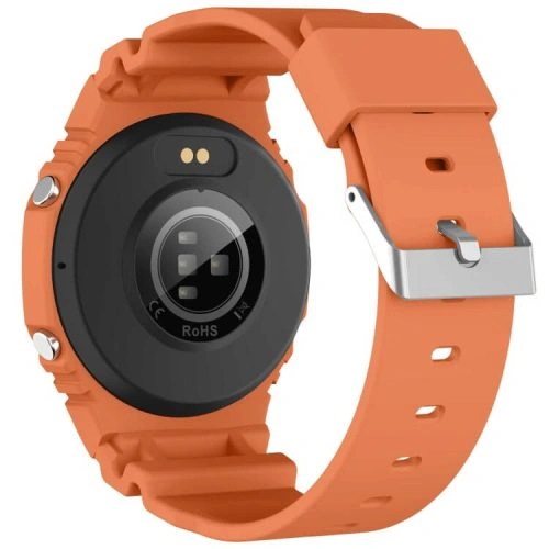 ZL88 TFT Smartwatch 230 mAh Strong Battery Life Health Monitoring IP67 Waterproof
