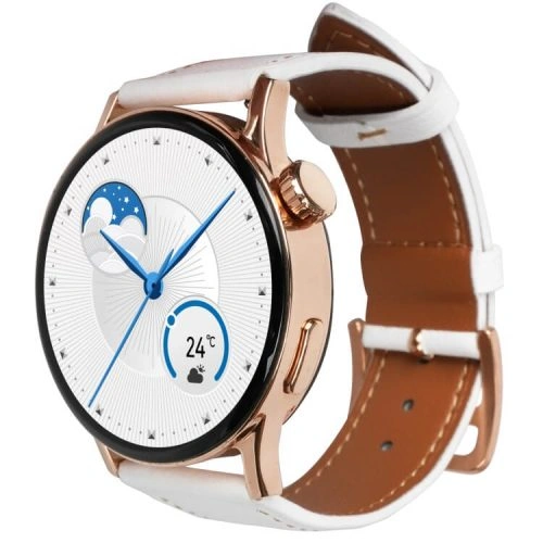 GT2 AMOLED Smartwatch Offline Payment True Rate Oximetry NFC Access Control