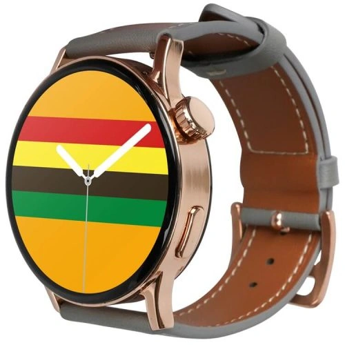 GT2 AMOLED Smartwatch Offline Payment True Rate Oximetry NFC Access Control